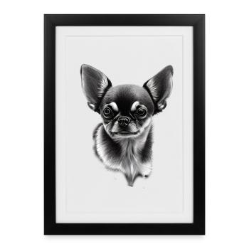 Chien miniature Chihuahua - Affiche encadrée (27 × 37 cm) - noir - Devant
