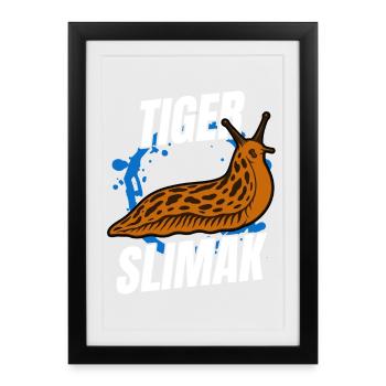 Tiger Slimak Shirt | Funny shirt - Framed poster (27 × 37 cm) - black - Front