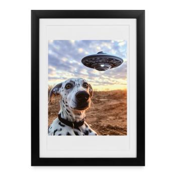 Selfie dalmatien OVNI - Affiche encadrée (27 × 37 cm) - noir - Devant
