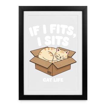 If it fits, cat sits in a box - Framed poster (27 × 37 cm) - black - Front
