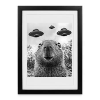 Selfie de capybara avec OVNI - Affiche encadrée (27 × 37 cm) - noir - Devant
