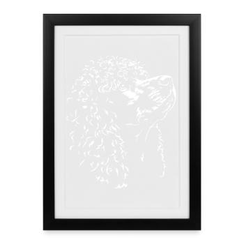 Silhouette d’épagneul-irlandais Chien Wilsigns - Affiche encadrée (27 × 37 cm) - noir - Devant