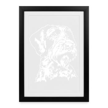 Korthals griffon Chiens portrait Chiens Chiens de chasse Wilsigns - Affiche encadrée (27 × 37 cm) - noir - Devant