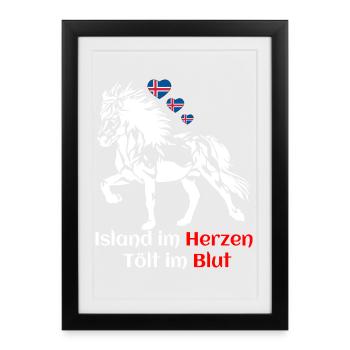 Island im Herzen Tölt im Blut - Islandpferdefans - Gerahmtes Poster (27 × 37 cm) - Schwarz - Vorne