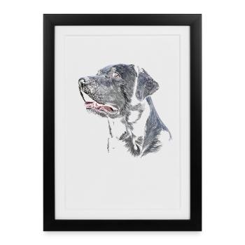 Labrador - Affiche encadrée (27 × 37 cm) - noir - Devant