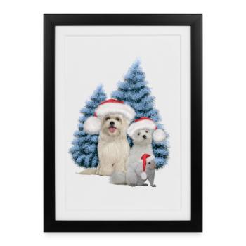 Chien mignon de Noël avec écureuil - Affiche encadrée (27 × 37 cm) - noir - Devant
