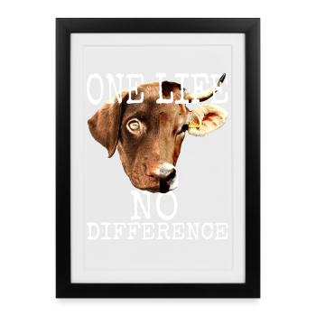 One Life No Difference Vegan Vegetarian Animal Welfare - Framed poster (27 × 37 cm) - black - Front