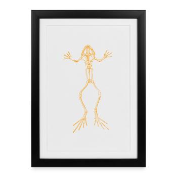 Frog Skeleton - Framed poster (27 × 37 cm) - black - Front