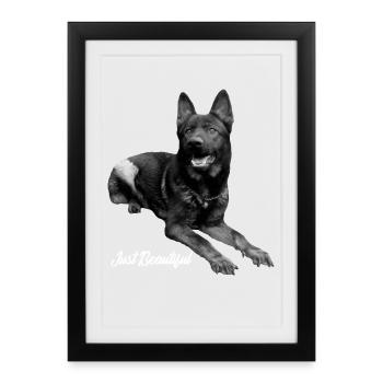 Sport de chien de berger allemand - Affiche encadrée (27 × 37 cm) - noir - Devant
