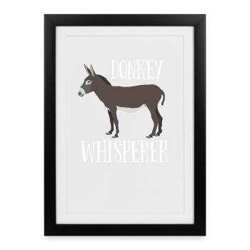 Donkey - Chuchoteur d’âne - Affiche encadrée (27 × 37 cm) - noir - Devant