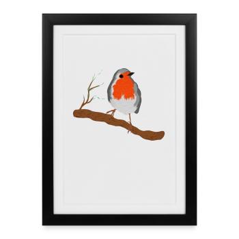 Robin with Magnificent Plumage on Branch - Framed poster (27 × 37 cm) - black - Front