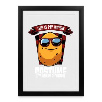 Costume de Patate avec lunettes de soleil - Affiche encadrée (27 × 37 cm) - noir - Devant