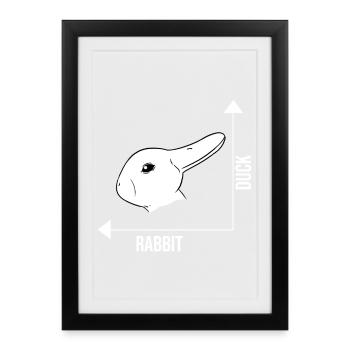 Illusion d'optique lapin canard illusion - Affiche encadrée (27 × 37 cm) - noir - Devant