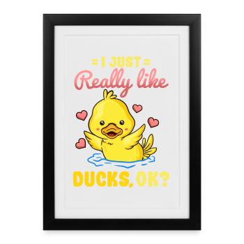 Canard Canard Amateur - Affiche encadrée (27 × 37 cm) - noir - Devant