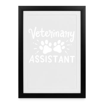 Assistant(e) vétérinaire(ve) - Affiche encadrée (27 × 37 cm) - noir - Devant