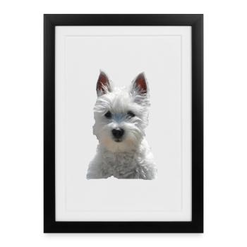 Chien westi mignon chiens petit chien - Affiche encadrée (27 × 37 cm) - noir - Devant