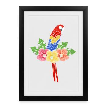 Perroquet - Affiche encadrée (27 × 37 cm) - noir - Devant
