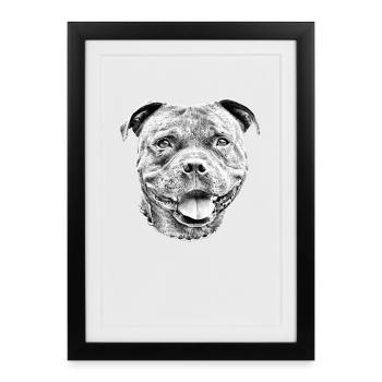 Bullterrier Stafford Staffbull Chien Bulldogge - Affiche encadrée (27 × 37 cm) - noir - Devant