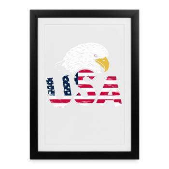 Aigle des États-Unis - Affiche encadrée (27 × 37 cm) - noir - Devant