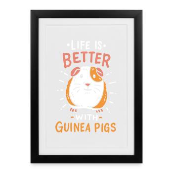 Guinea pig - Framed poster (27 × 37 cm) - black - Front