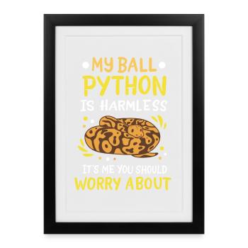 Ball Python - Framed poster (27 × 37 cm) - black - Front