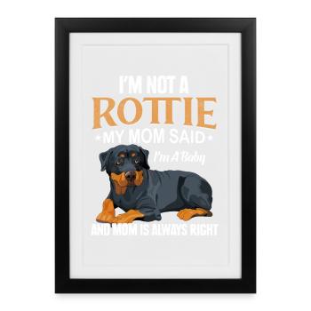 M. Rottweiler - Affiche encadrée (27 × 37 cm) - noir - Devant