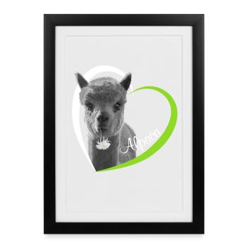 J’adore Alpaca, I love Alpaca - Affiche encadrée (27 × 37 cm) - noir - Devant