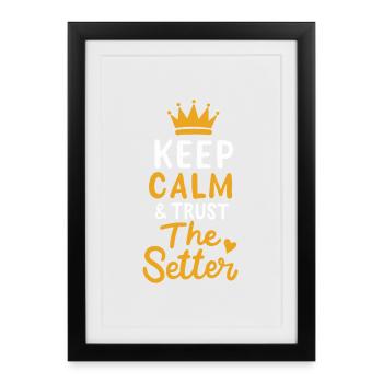 Volley-ball Keep Calm And Trust The Setter Player - Affiche encadrée (27 × 37 cm) - noir - Devant