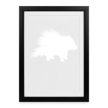 Porcupine Porcupine Feather Kiel - Framed poster (27 × 37 cm) - black - Front