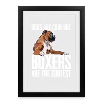 Boxer Dog Dogs Are Cool But Boxers Are Coolest - Framed poster (27 × 37 cm) - black - Front
