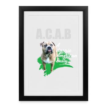 Un Bully américain classique sans oreilles amarrées ACAB - Affiche encadrée (27 × 37 cm) - noir - Devant