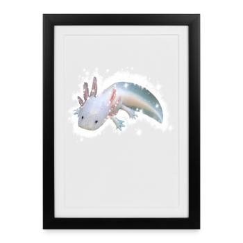 white axolotl - Framed poster (27 × 37 cm) - black - Front