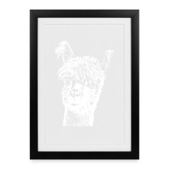 Lama Alpaga - Affiche encadrée (27 × 37 cm) - noir - Devant