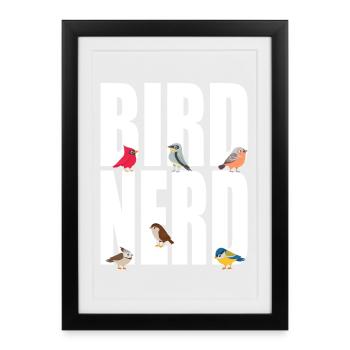 Oiseaux Oiseau Nerd - Affiche encadrée (27 × 37 cm) - noir - Devant