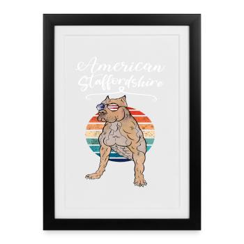 American Staffordshire Vintage - Affiche encadrée (27 × 37 cm) - noir - Devant