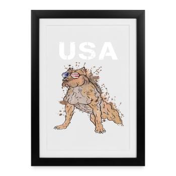 USA Staffordshire Terrier avec des lunettes de soleil cool - Affiche encadrée (27 × 37 cm) - noir - Devant