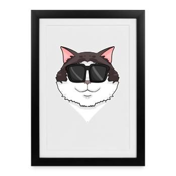 Chat Ragdoll - Affiche encadrée (27 × 37 cm) - noir - Devant
