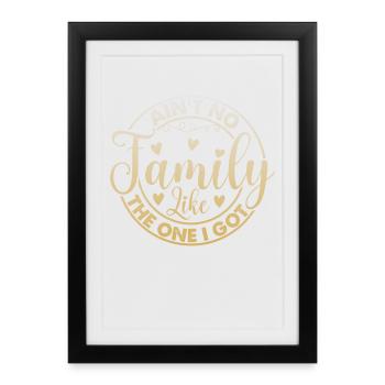 Family Appreciation Ain't No Family - Framed poster (27 × 37 cm) - black - Front
