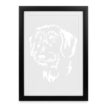 Tête de teckel « Black Edition » - Affiche encadrée (27 × 37 cm) - noir - Devant