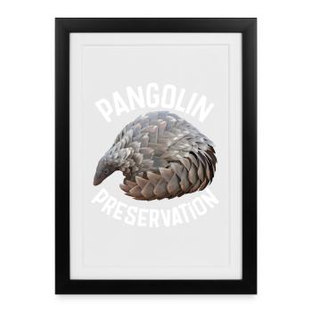 Préservation du pangolin - Affiche encadrée (27 × 37 cm) - noir - Devant
