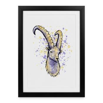 Capricorn Astrology - Framed poster (27 × 37 cm) - black - Front