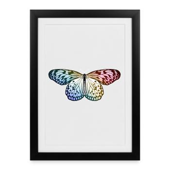 Papillon Arc-en-ciel - Affiche encadrée (27 × 37 cm) - noir - Devant