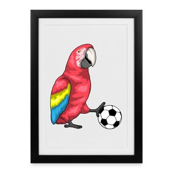 Parrot Football Player Football - Affiche encadrée (27 × 37 cm) - noir - Devant