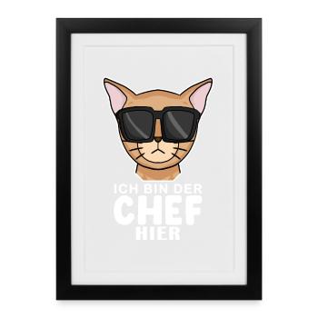 coole Katze - Abessinierkatze Katze Spruch - Gerahmtes Poster (27 × 37 cm) - Schwarz - Vorne