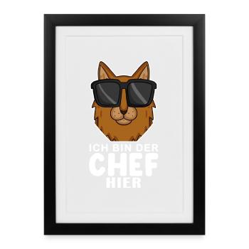 coole Katze - Somali Katze Spruch - Gerahmtes Poster (27 × 37 cm) - Schwarz - Vorne
