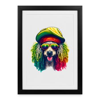 Caniche Rasta Cool Coloré - Affiche encadrée (27 × 37 cm) - noir - Devant