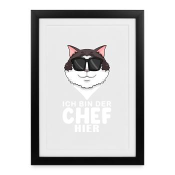 coole Katze - Ragdoll Katze - Chef Spruch - Gerahmtes Poster (27 × 37 cm) - Schwarz - Vorne