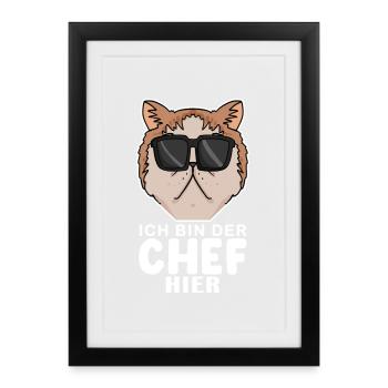 coole Katze - Exotische Kurzhaarkatze Katze - Chef - Gerahmtes Poster (27 × 37 cm) - Schwarz - Vorne