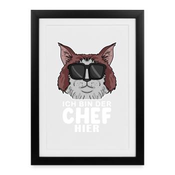 coole Katze - Maine-Coon-Katze Katze - Chef Spruch - Gerahmtes Poster (27 × 37 cm) - Schwarz - Vorne