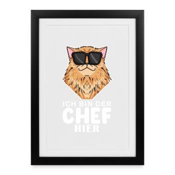coole Katze - Perserkatze Katze - Chef Spruch - Gerahmtes Poster (27 × 37 cm) - Schwarz - Vorne